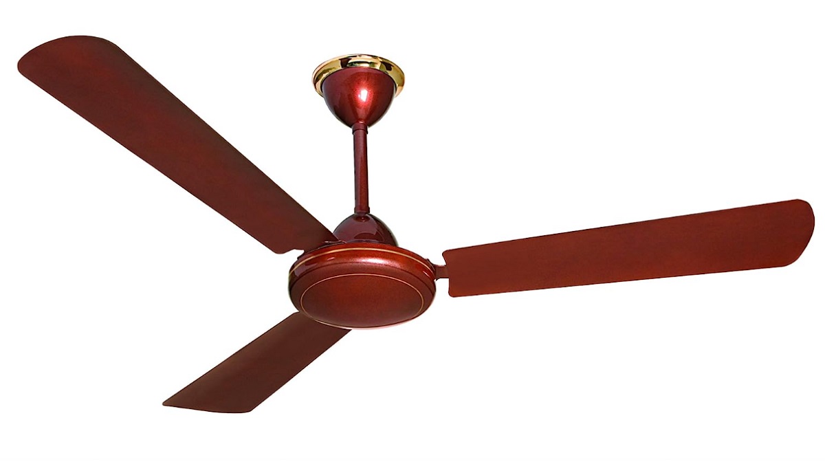 Brown fan