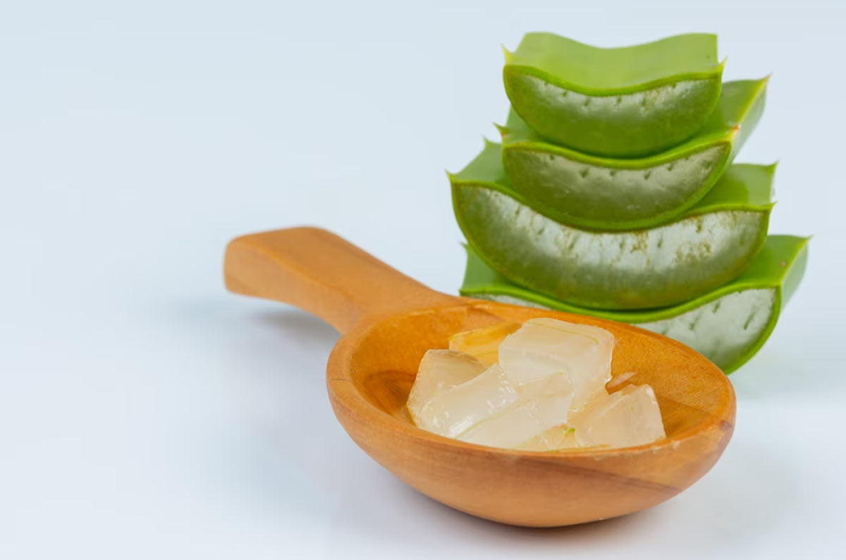alovera and coconut oil