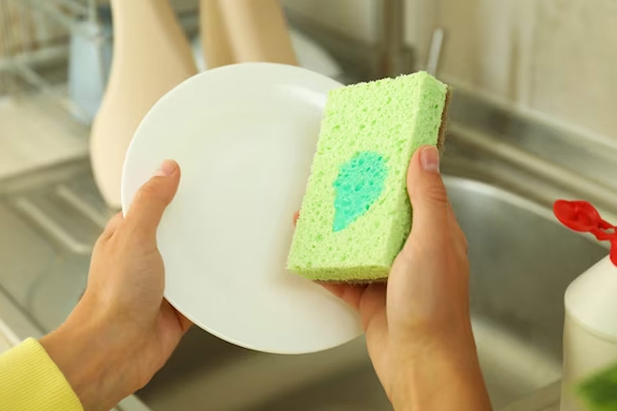 alternative of dishwash bar and liquid