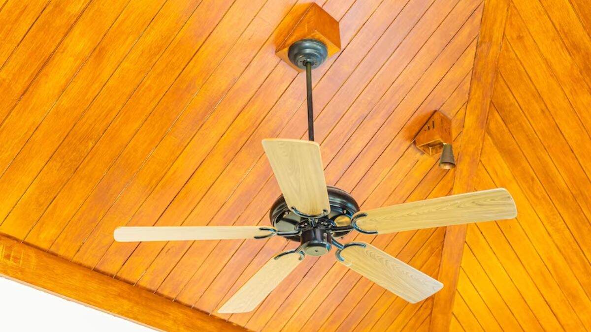 best-ceiling-fans-in-india