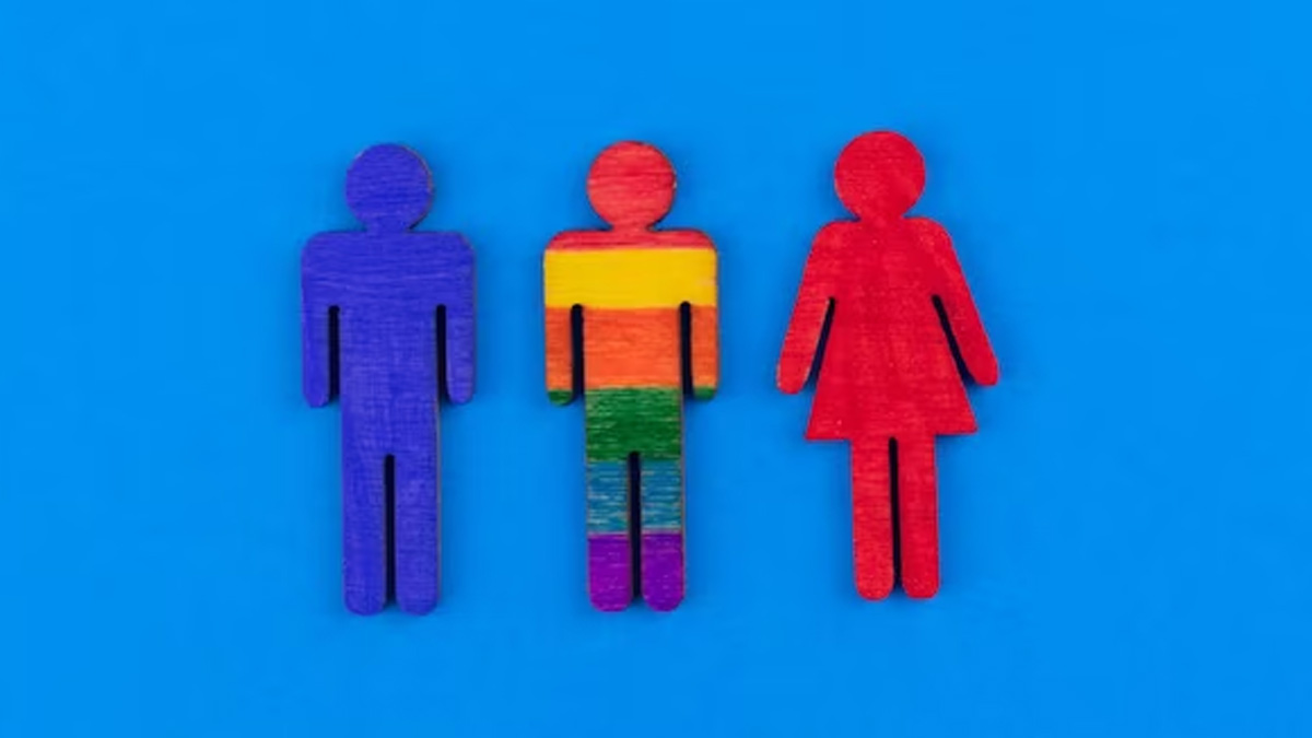 classification of third gender