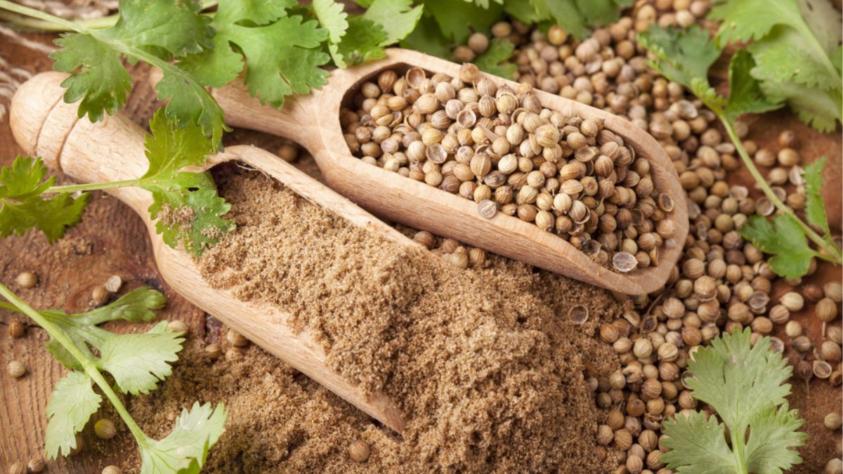 Coriander Seeds Benefit கொத்தமல்லி விதைகளை சாப்பிட்டு வந்தால் கோடையில்