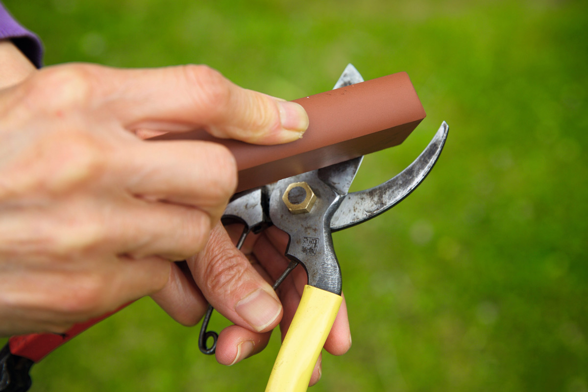गार्डनिंग Scissor की धार को करें तेज, जानें टिप्स | how to sharpen ...