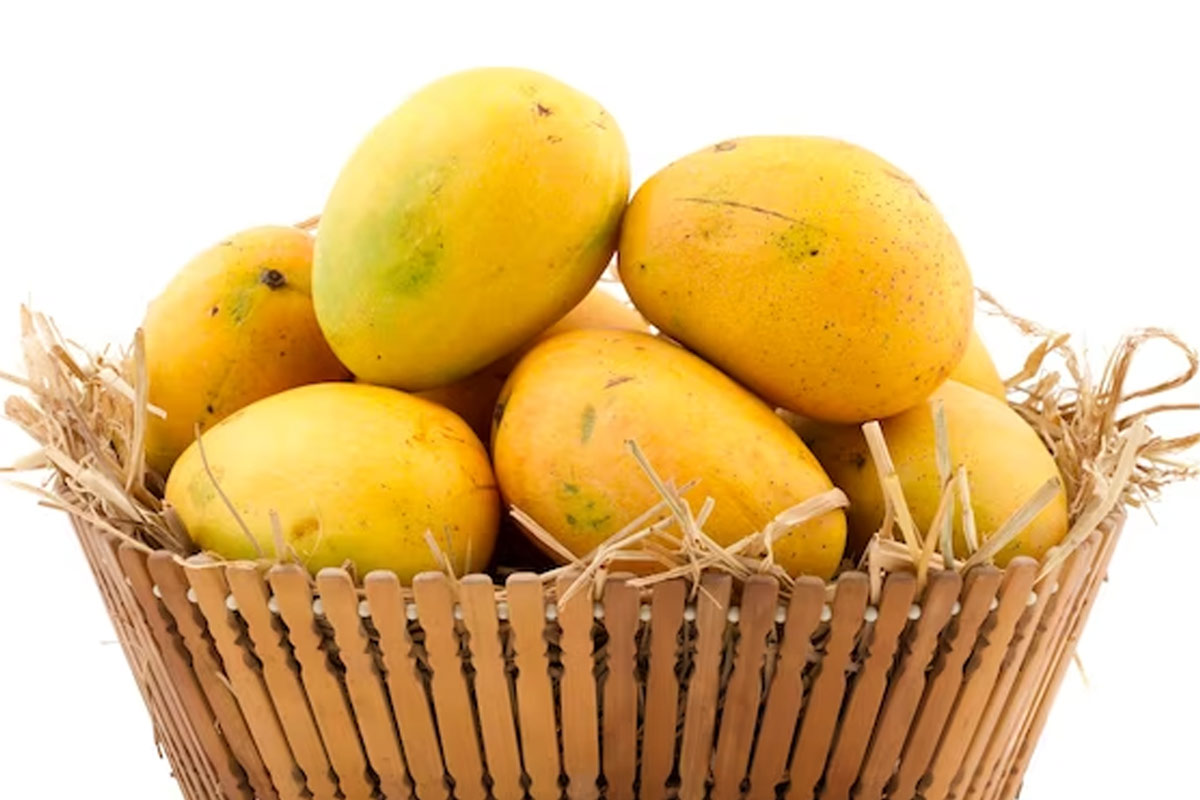 gir kesar mango price