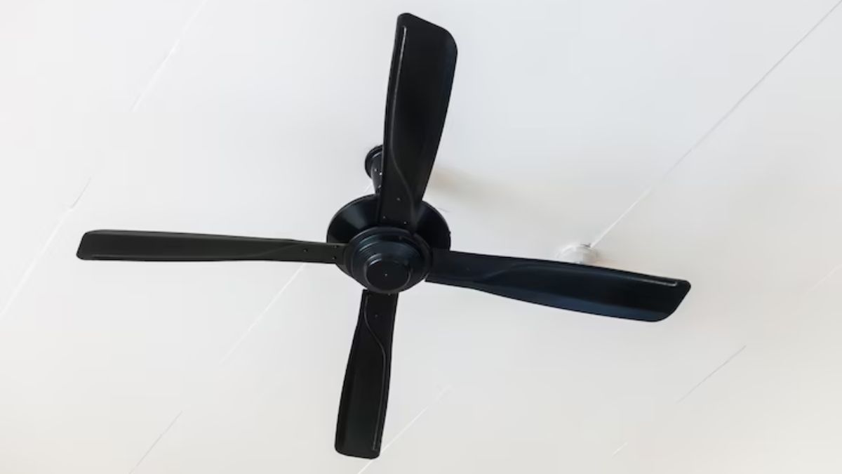 Crompton vs Havells Ceiling Fan मिलेगी तेज हवा और नहीं लगेगी रस्ट