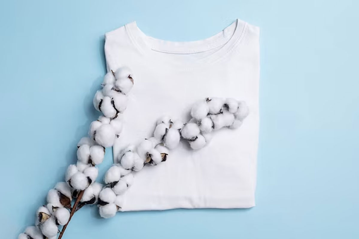 healthy diet in summer