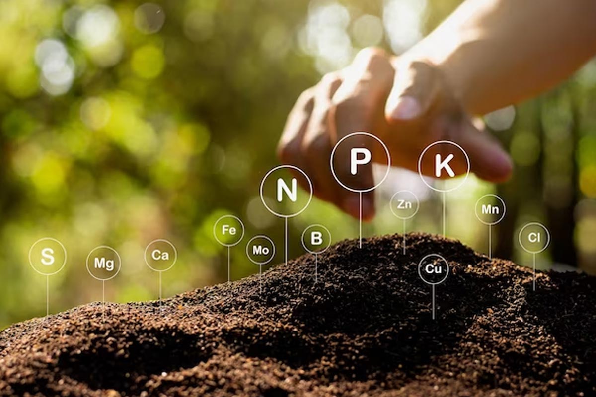 how to buy good vermicompost in hindi