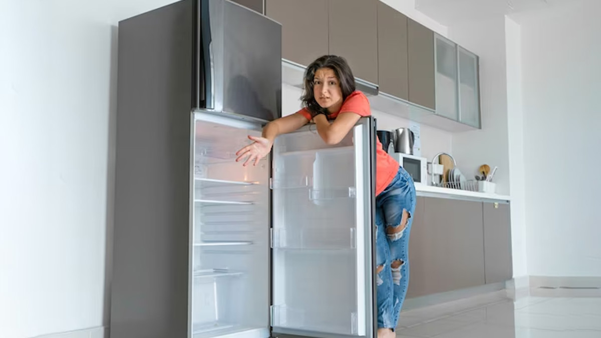 https://images.herzindagi.info/image/2023/Jun/how-to-deep-clean-refrigerator.jpg
