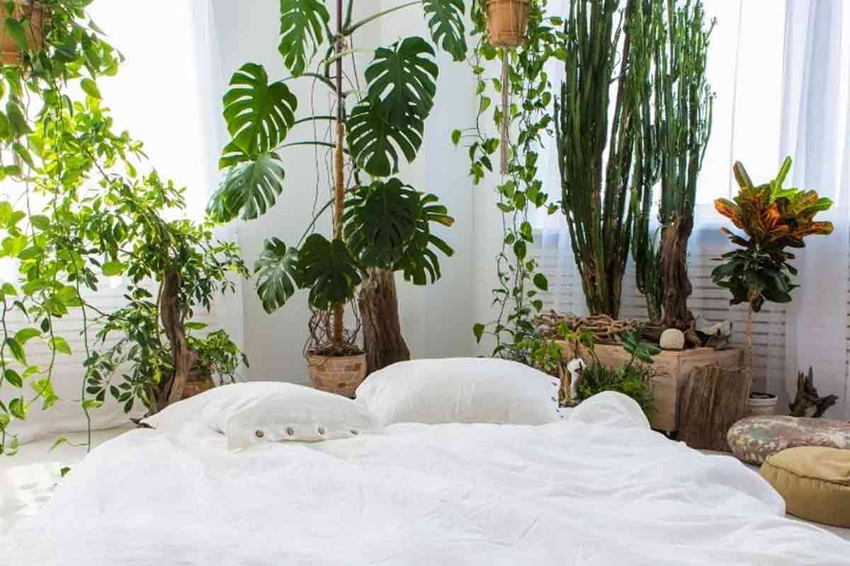 how to make your bedroom eco friendly