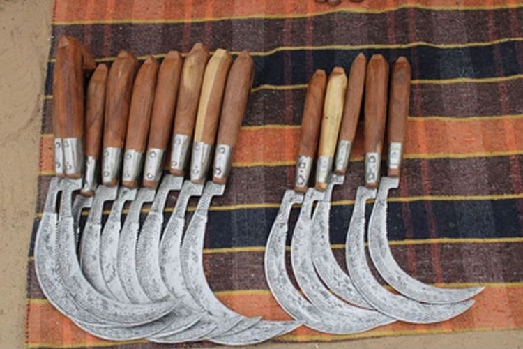 indian vegetable cutter