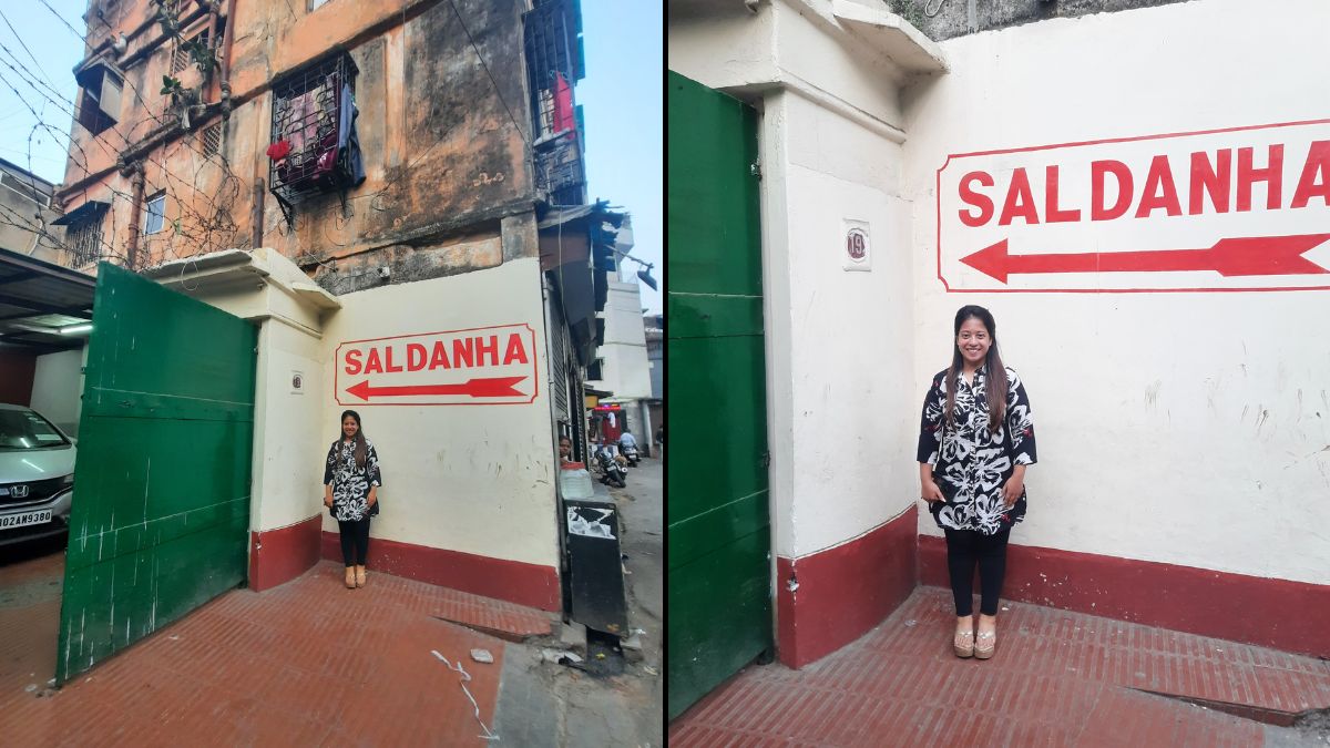 inside saldanha alisha