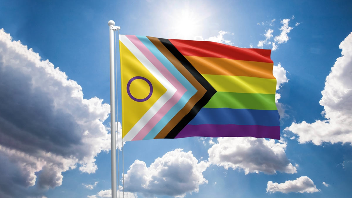 Updated Pride Flag How New Colours Celebrate Diversity And Signify