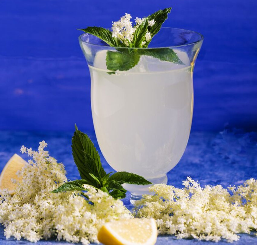 mogra flowers sharbat recipes for summer