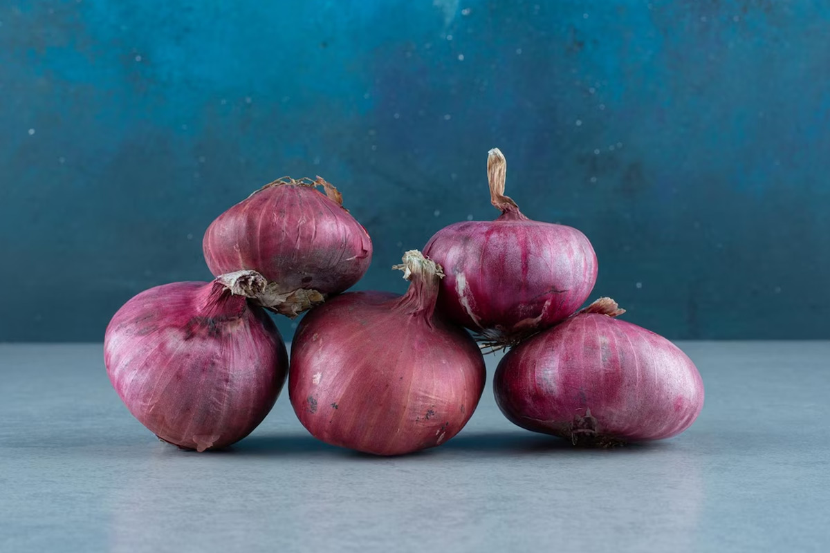 onion recipes in hindi