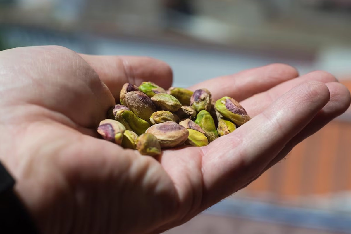 pistachios buying tips for market