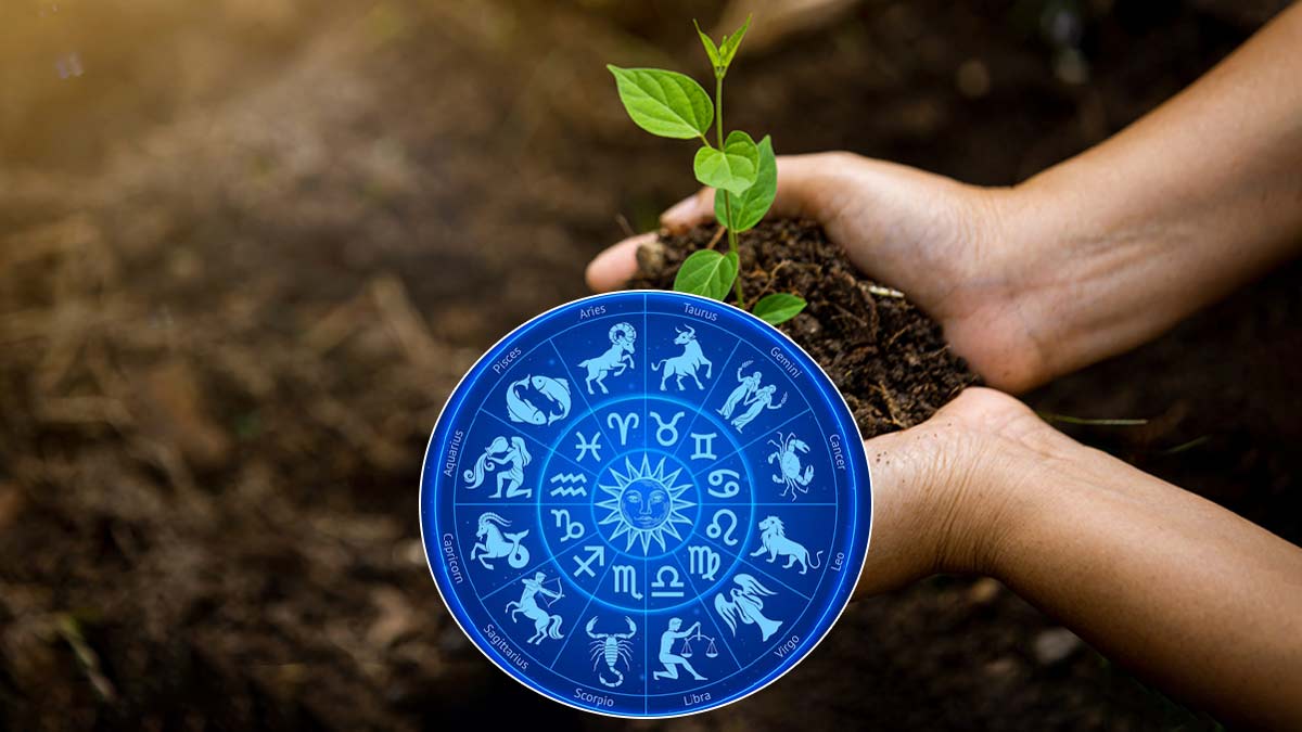 World Environment Day 2023: राशि अनुसार लगाएं पौधे, चमकेगी किस्‍मत