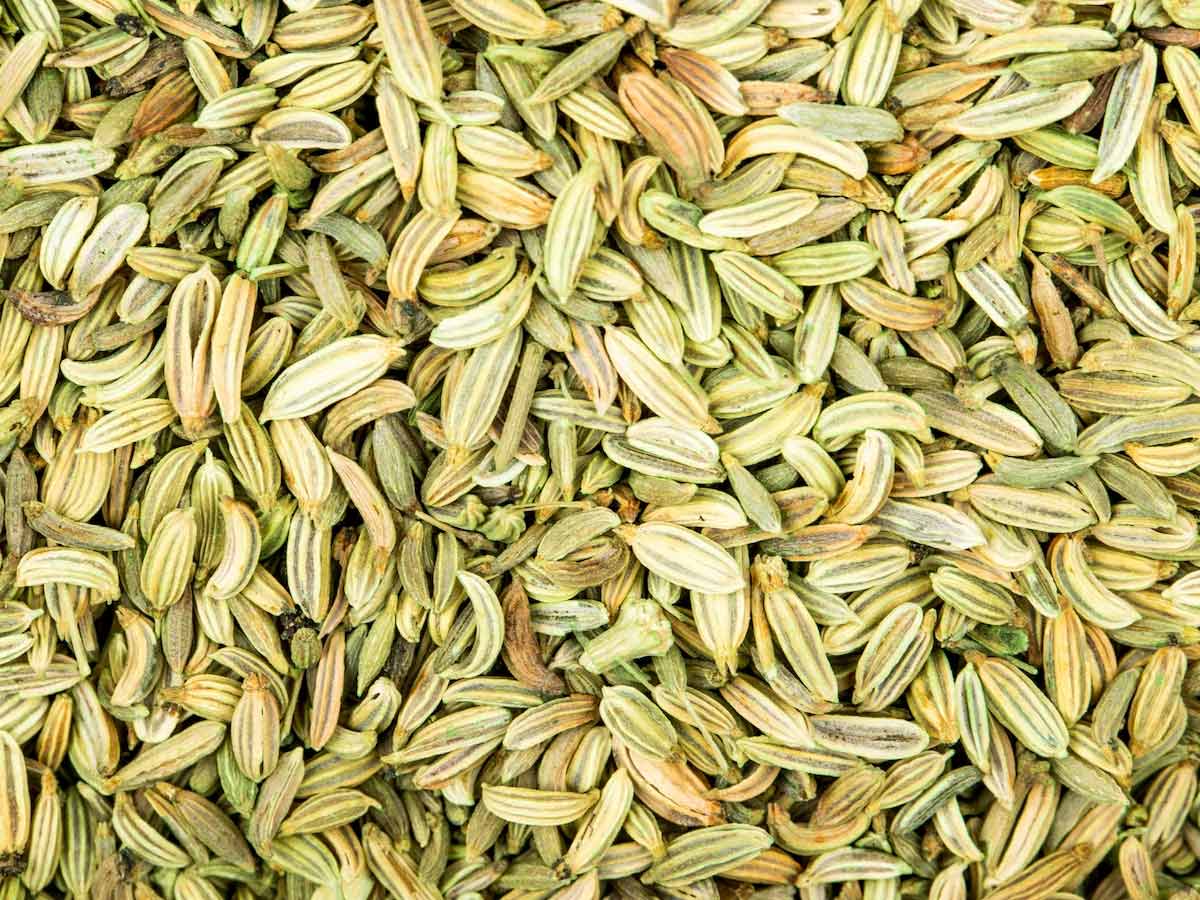 sauf remedy for hair fall