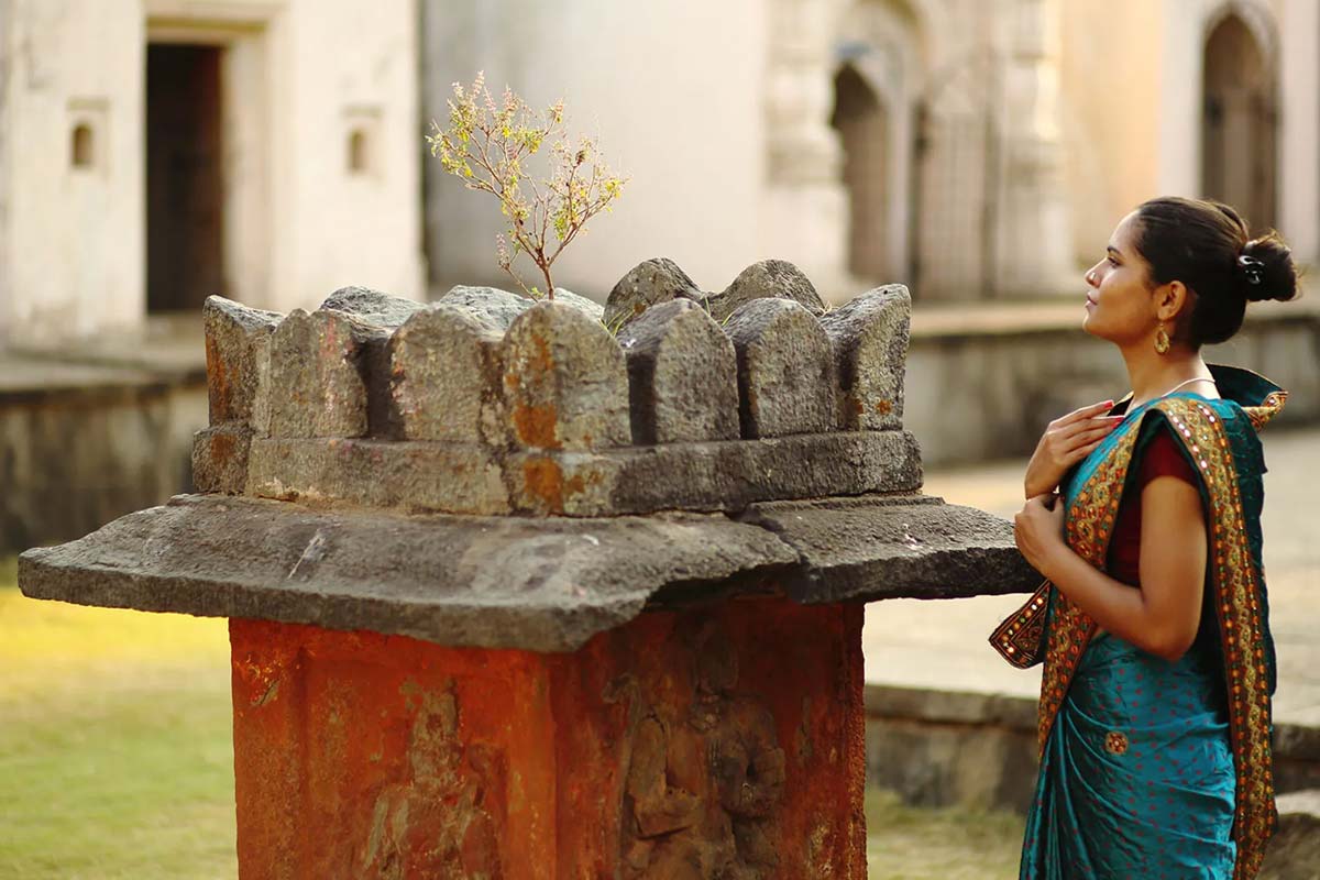 temple basil at home