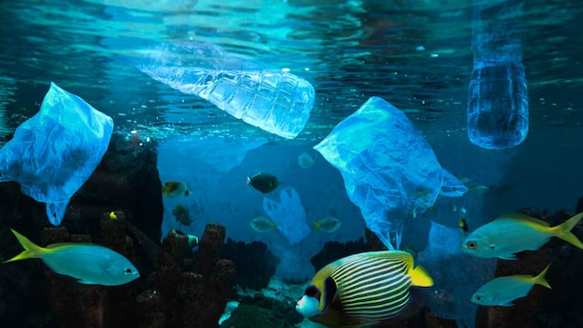 plastic-pollution-ways-to-stop