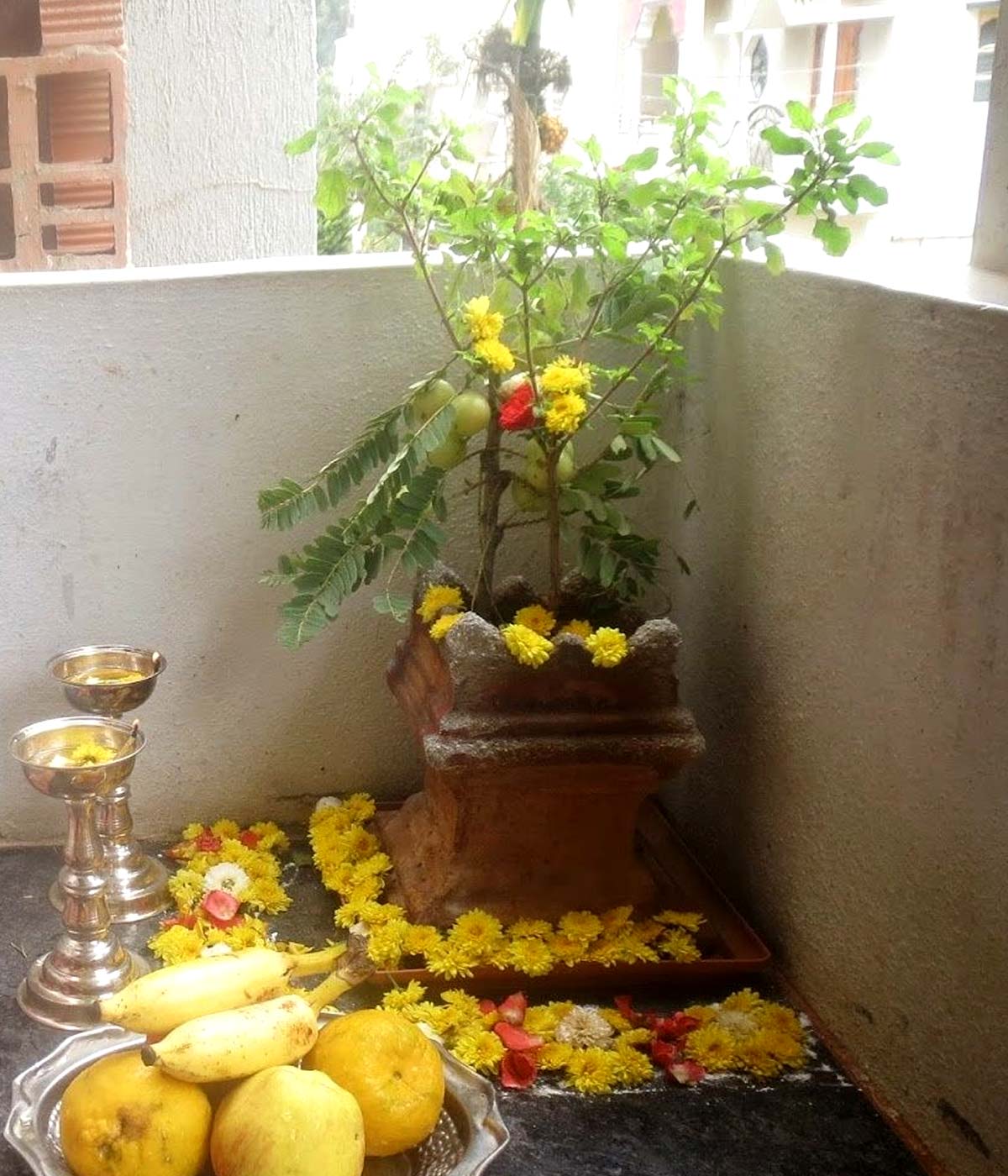 tulsi name chanting for money