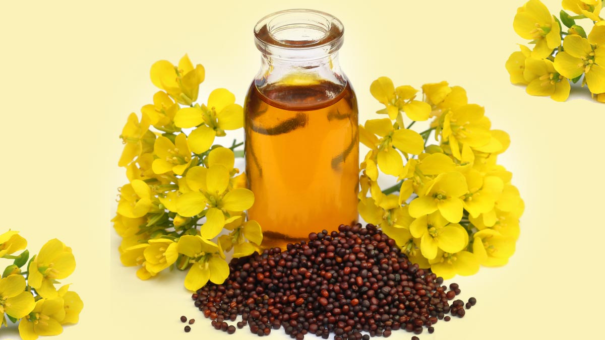 what is the substitute for  vegetable oil