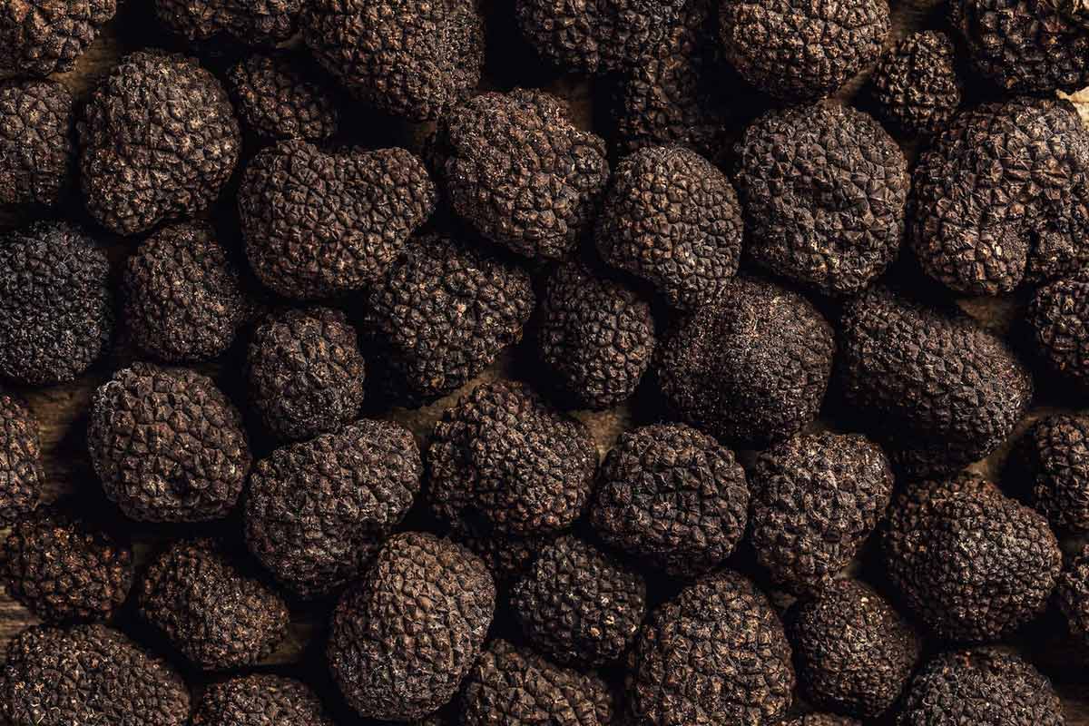 white-and-black-truffle.jpg