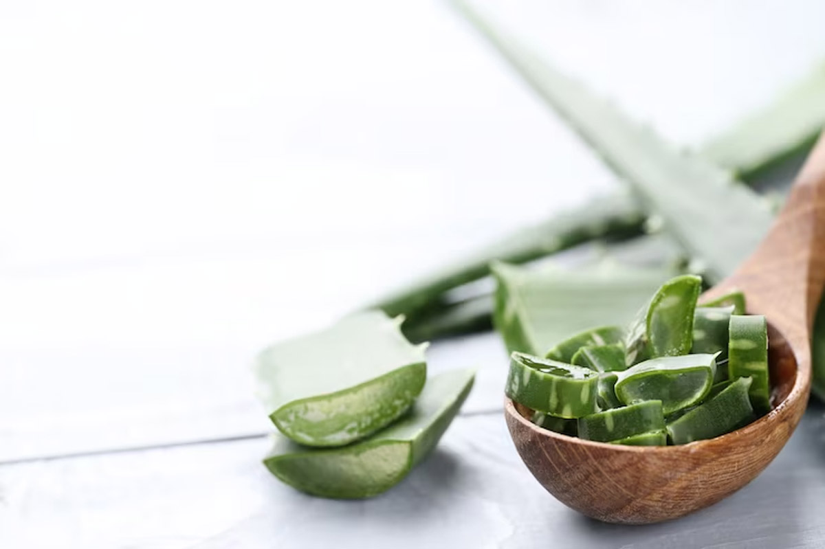 aloe vera face pack