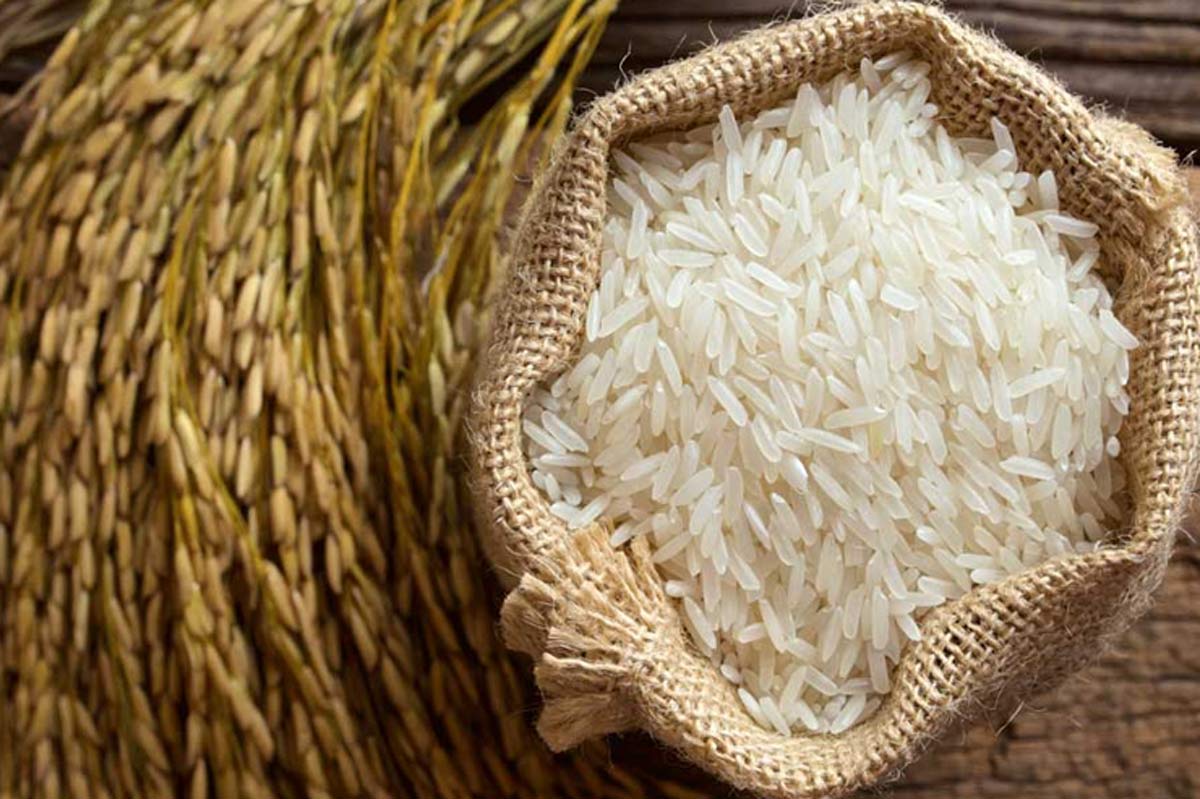 basmati chawal and its importance