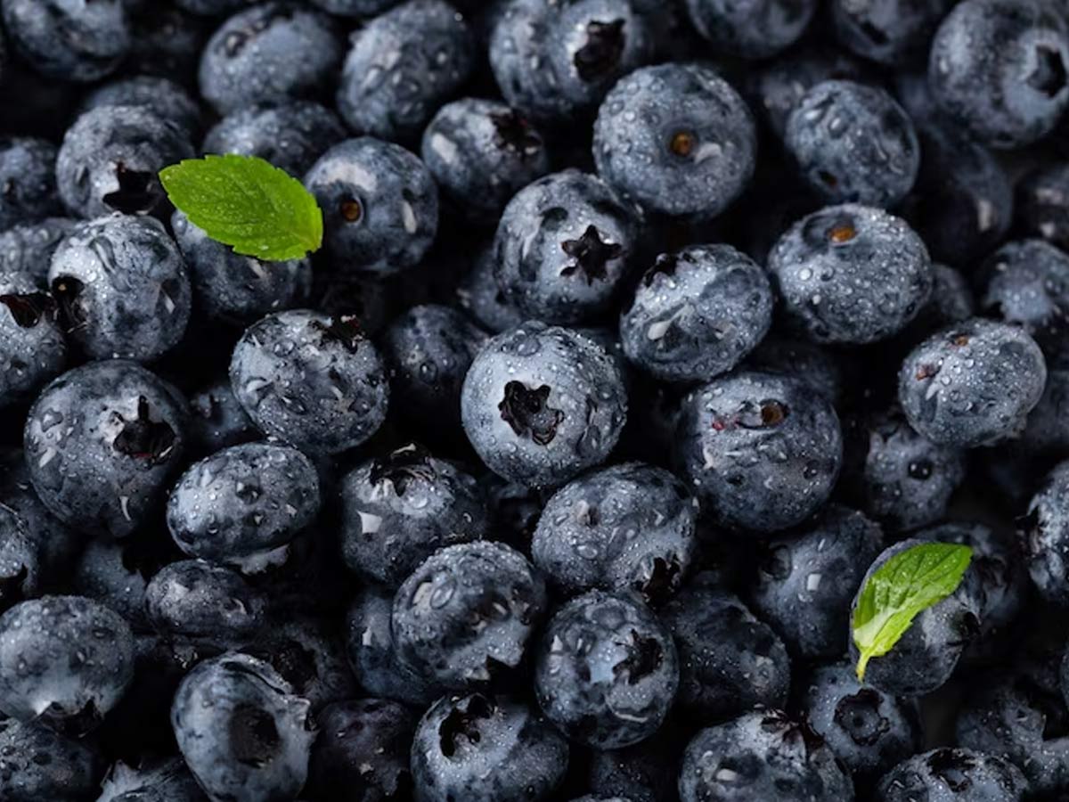 blue berries for kidney