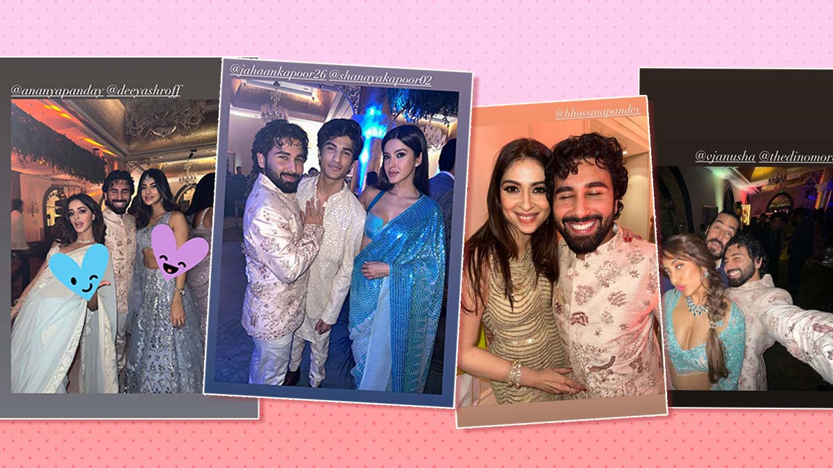 celebrities at alanna panday wedding