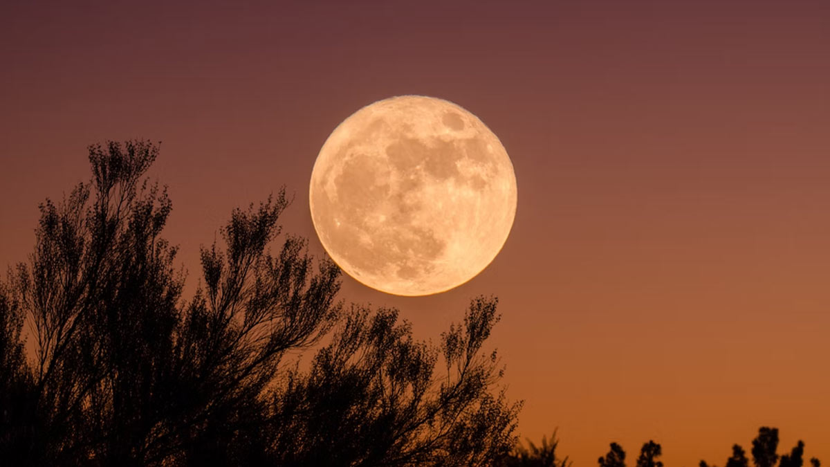 chaitra purnima tithi shubh muhurat