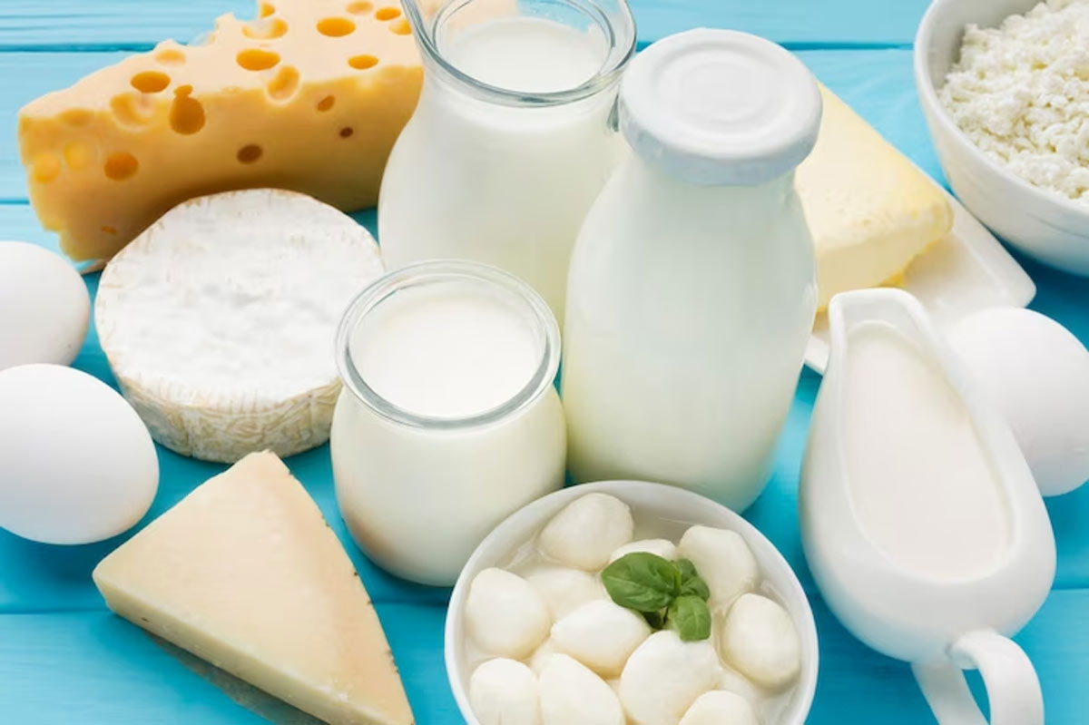 dairy products for healthy kidneys