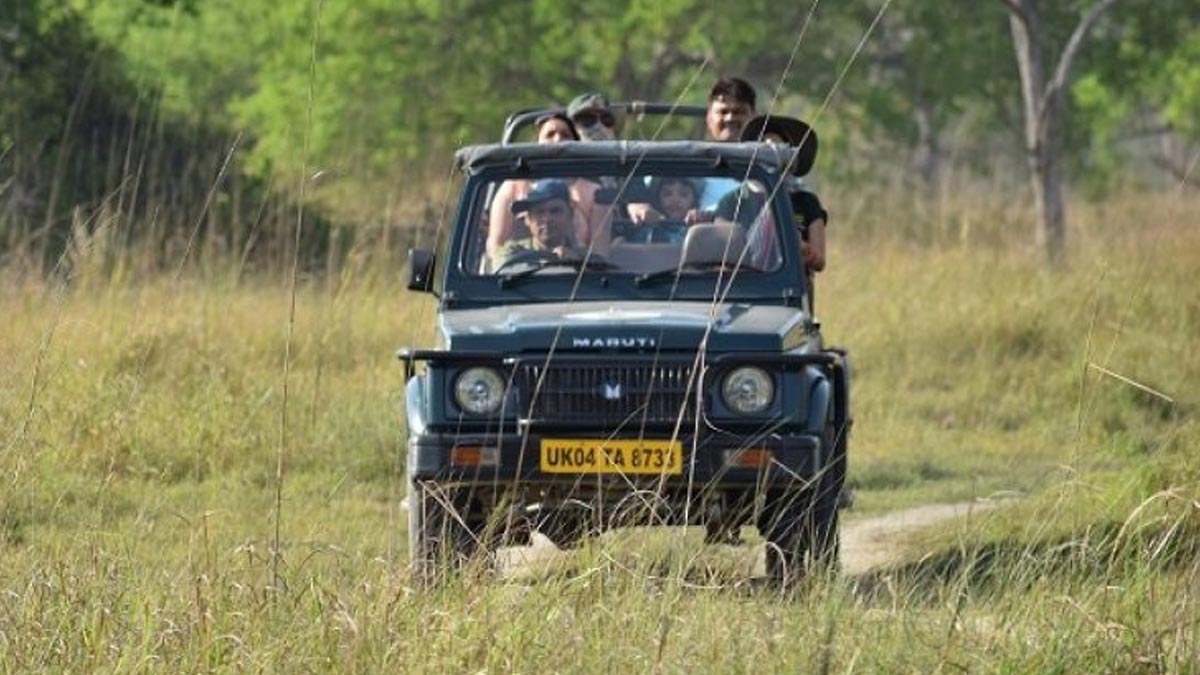 do not make these  mistakes while doing safari in jim corbett