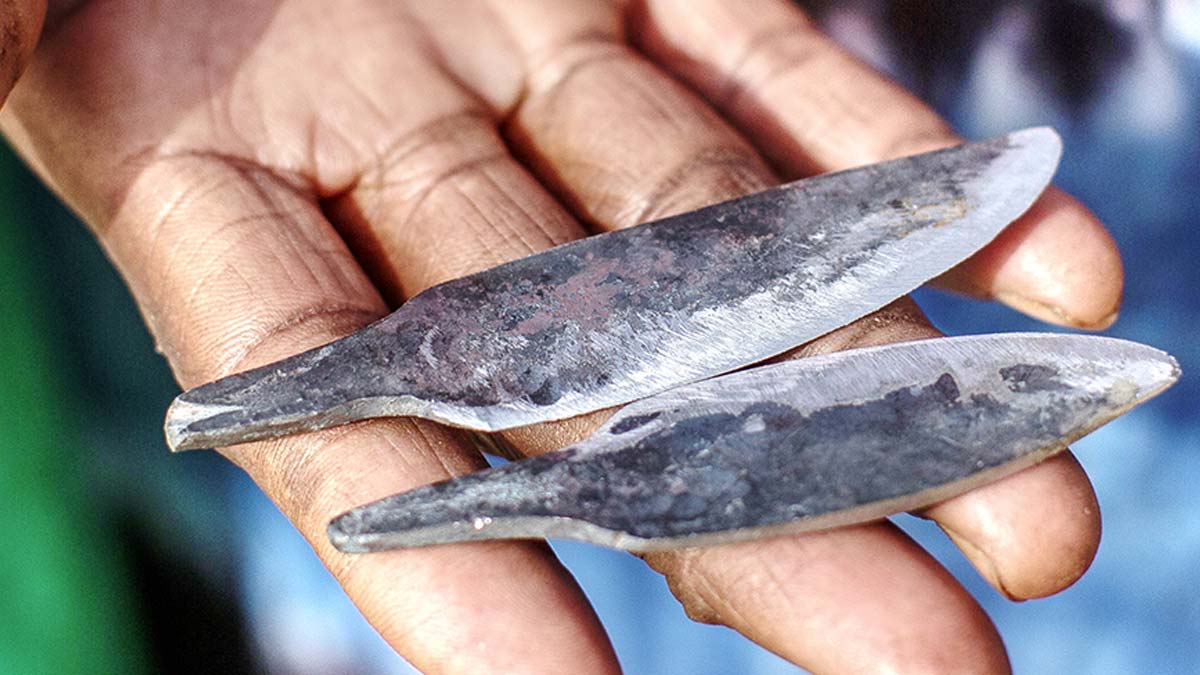 female genital cutting