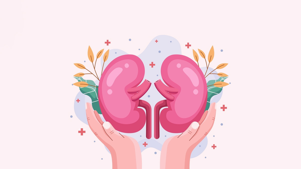 10-food-items-you-should-avoid-to-promote-renal-health-herzindagi