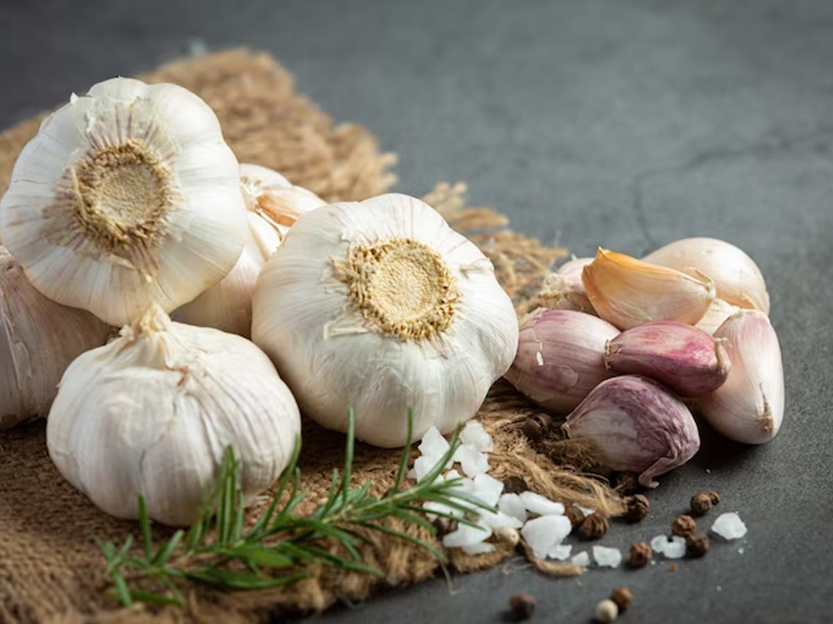 garlic  for kidneys