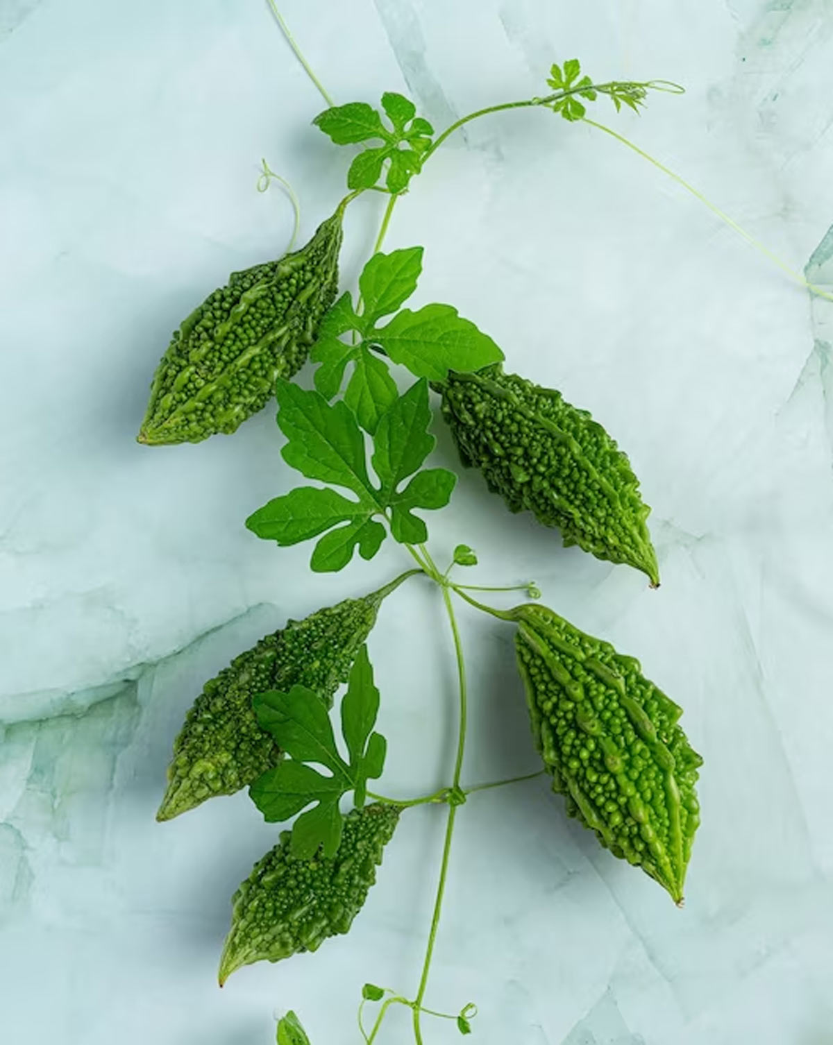 green chutney recipe