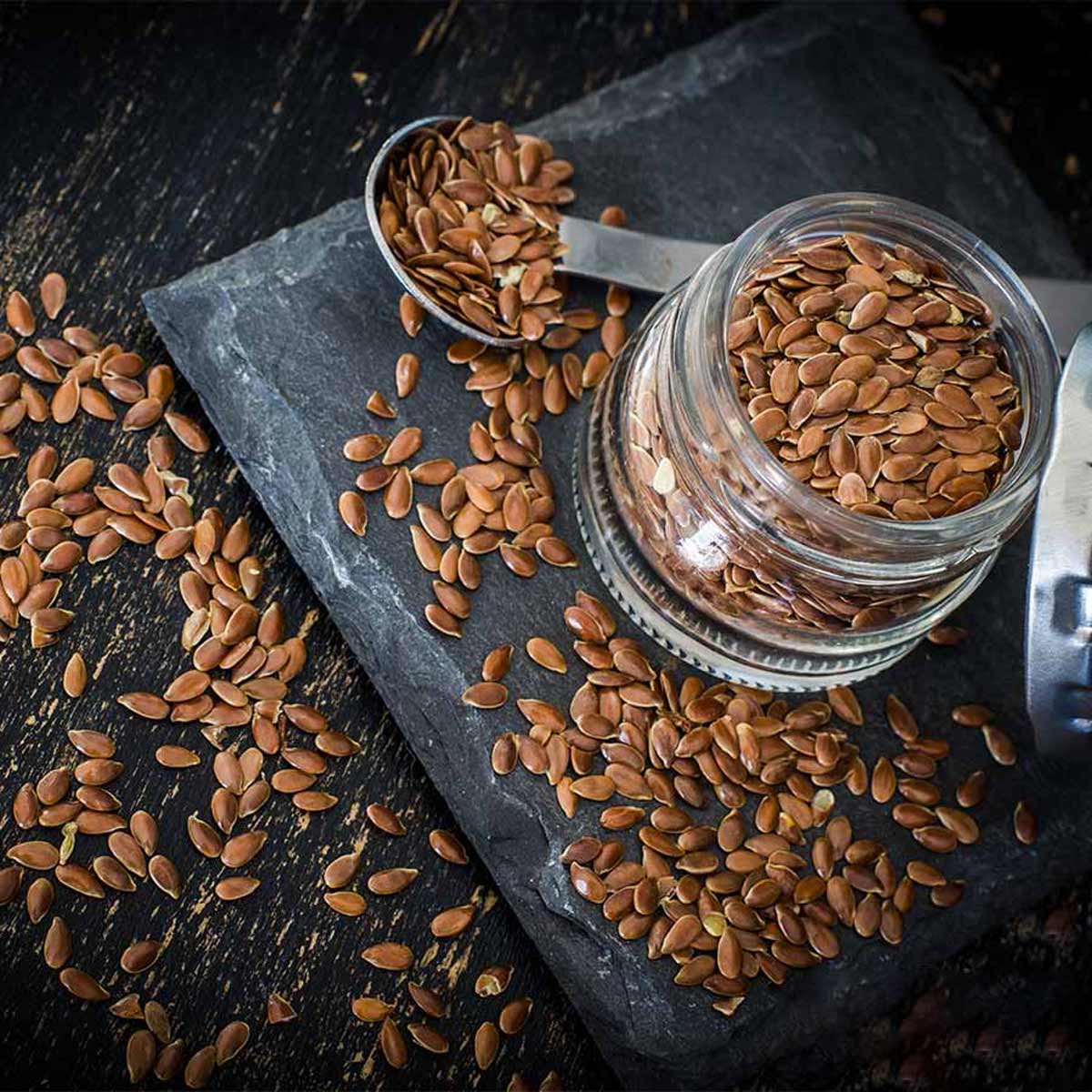 grow flax seeds in hindi