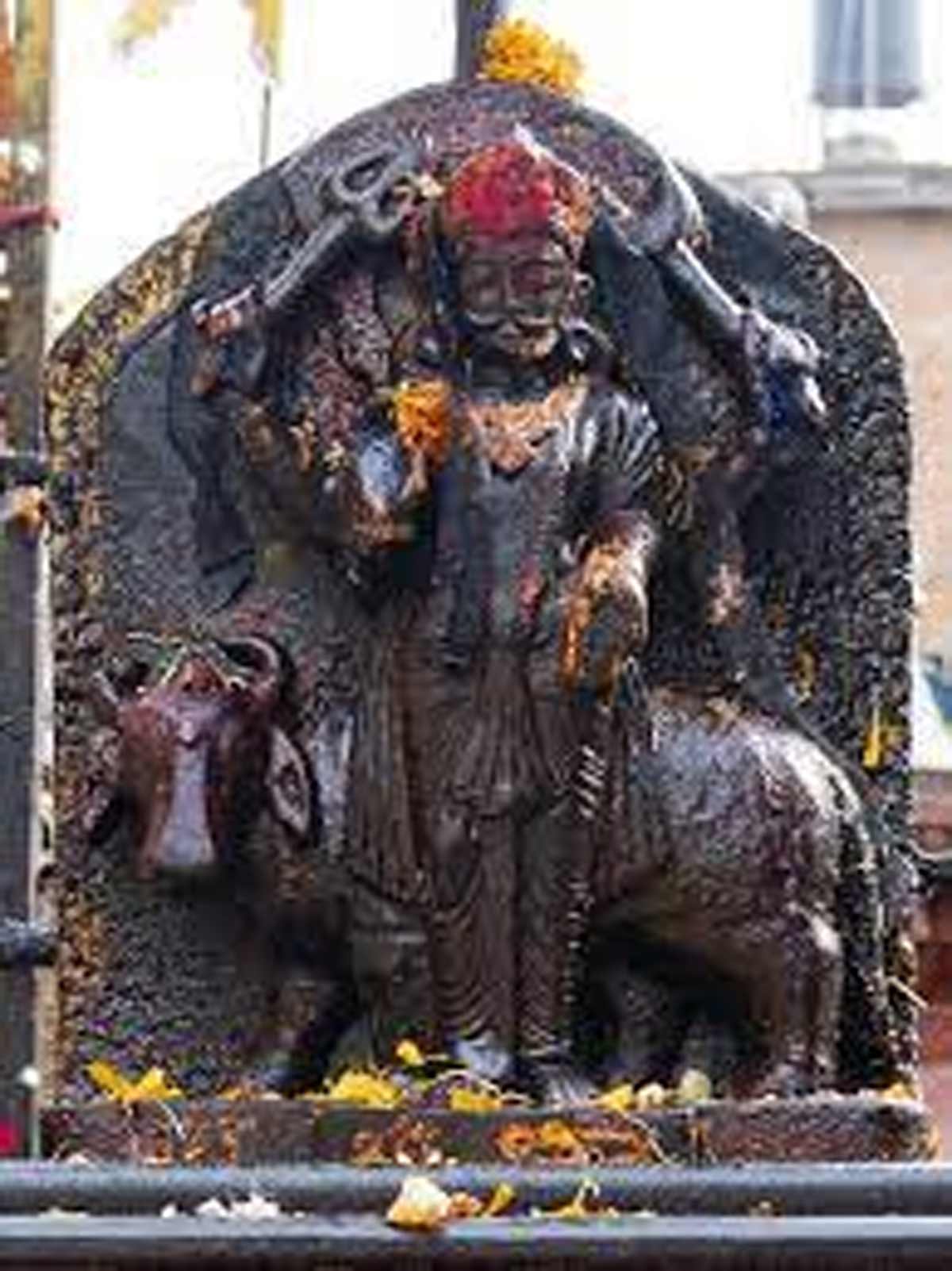 happy shani dev signs