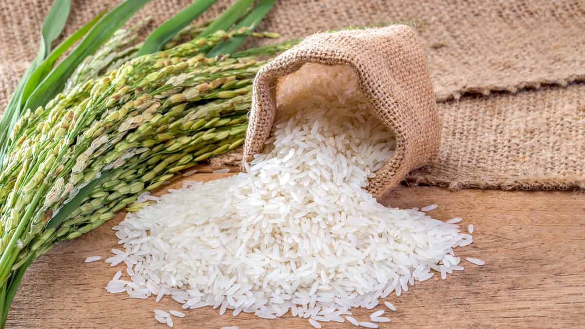 how to select perfect rice for pulao in hindi