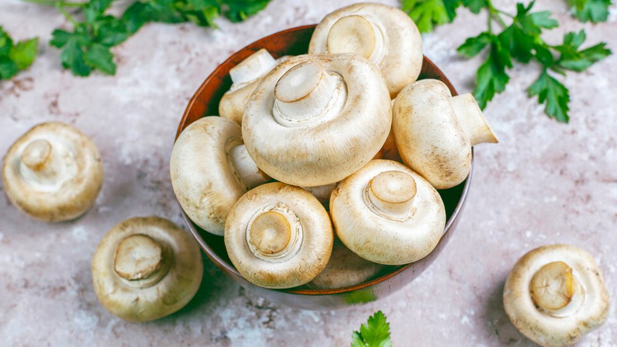 Mushroom Benefits : காளான் சாப்பிடுவதால் கிடைக்கும் ஆரோக்கிய நன்மைகள்