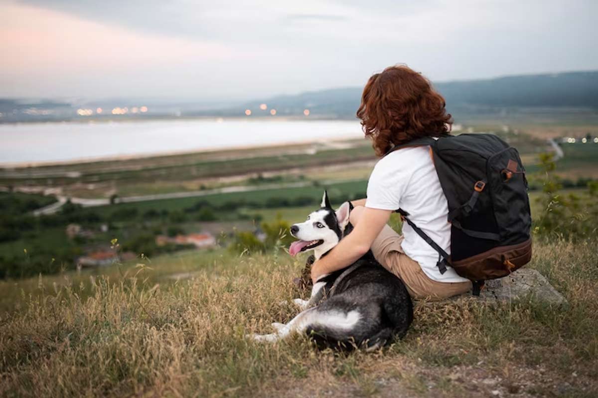 pet friendly places in india