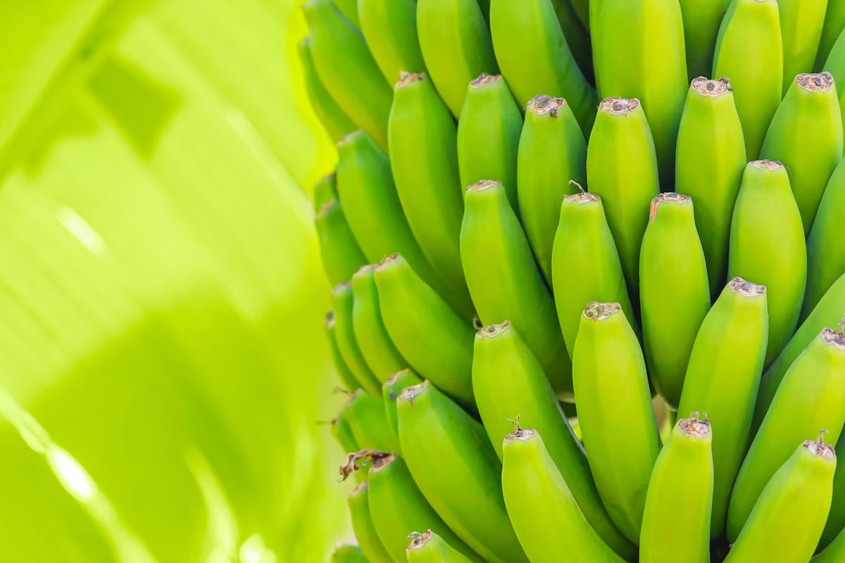 raw banana recipes in tamil