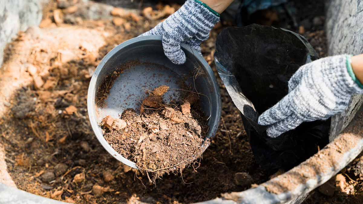 things you should not add in garden compost