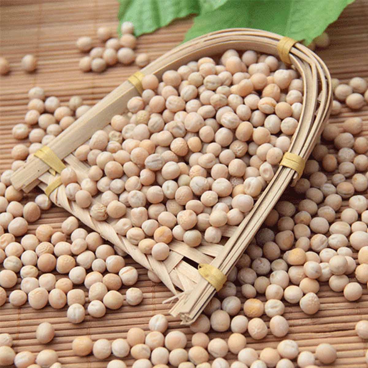 white peas sundal gravy