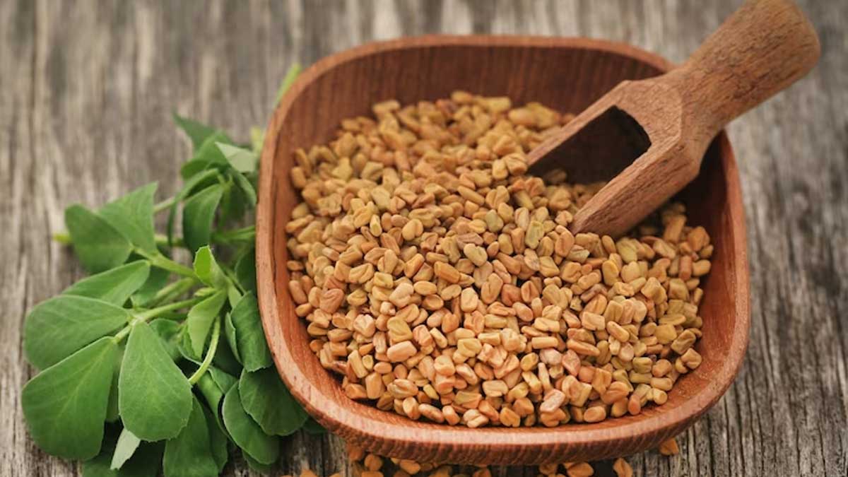 Fenugreek Seeds : யாரெல்லாம் வெந்தயம் சாப்பிட கூடாது தெரியுமா? | who cannot  eat fenugreek seeds | HerZindagi Tamil