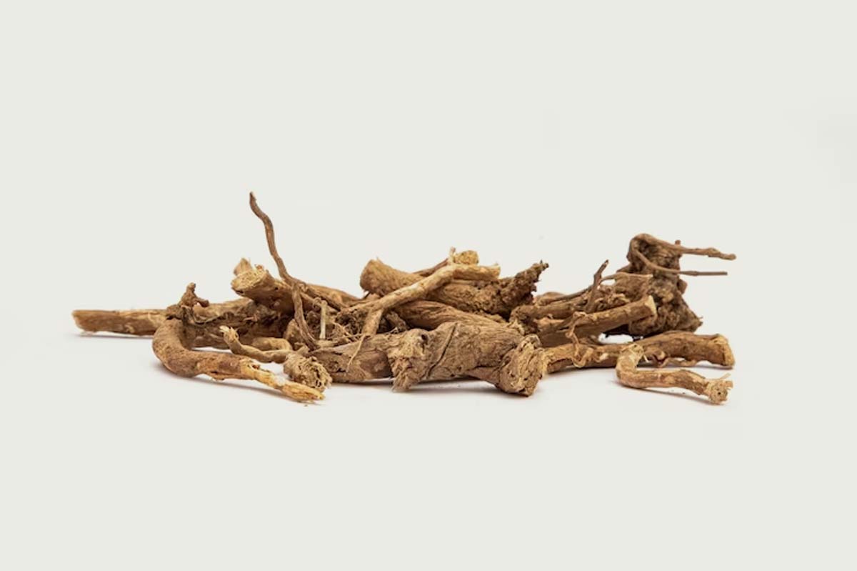ashwagandha for endometriosis