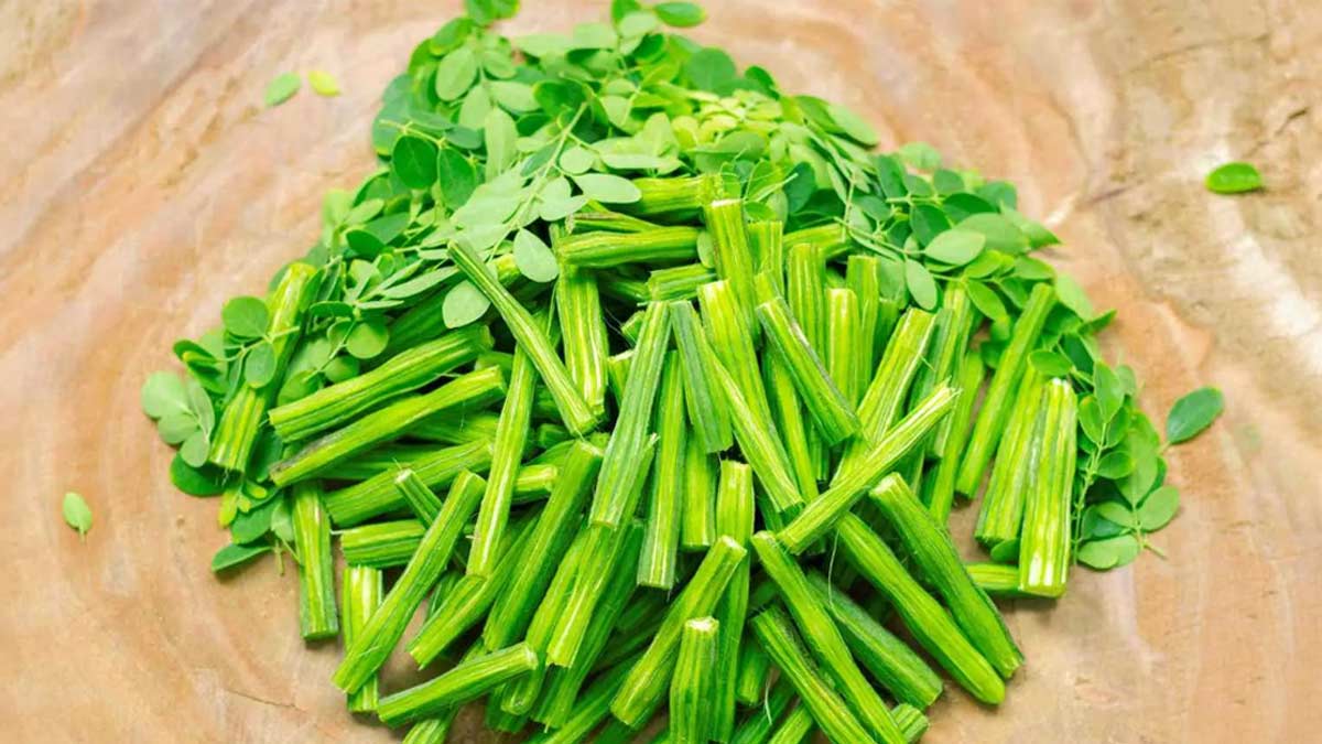 Drumstick Benefits முருங்கைக்காயின் மிகச்சிறந்த மூன்று நன்மைகள் பற்றி