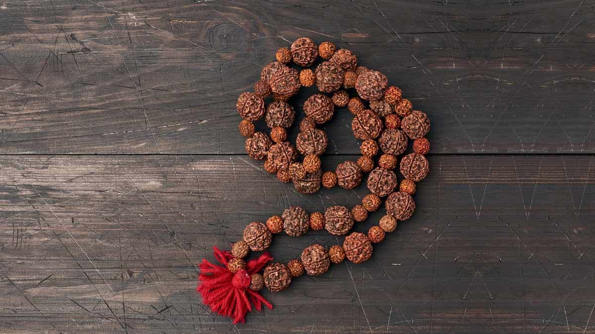 capricorn zodiac to get success in life