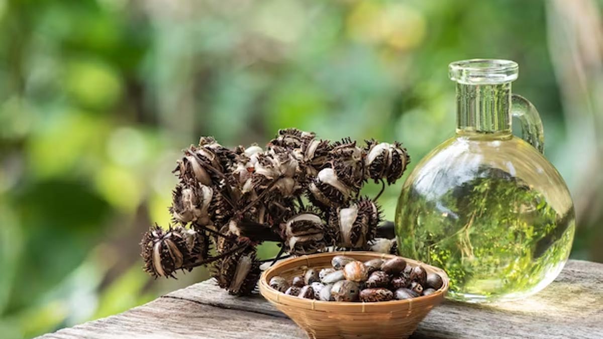 castor oil benefits for healthy hair